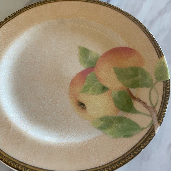 SET OF 2 PTS INTERNATIONAL INTERIORS NEWBURY GENUINE STONEWARE SALAD PLATES - Picture 3 of 8